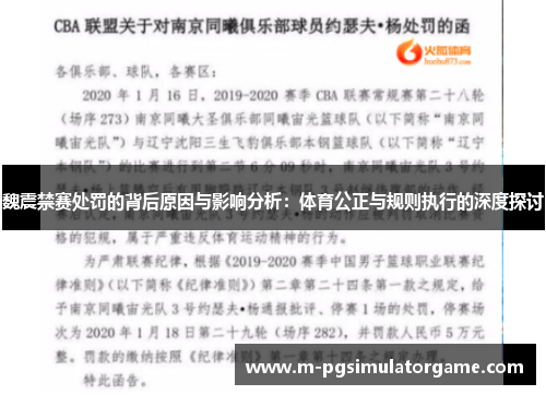 魏震禁赛处罚的背后原因与影响分析：体育公正与规则执行的深度探讨