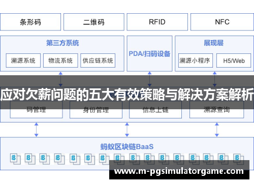 应对欠薪问题的五大有效策略与解决方案解析